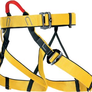 Arnes Top Singing Rock