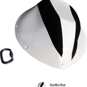 Volumen Potato Beetle Anatomic